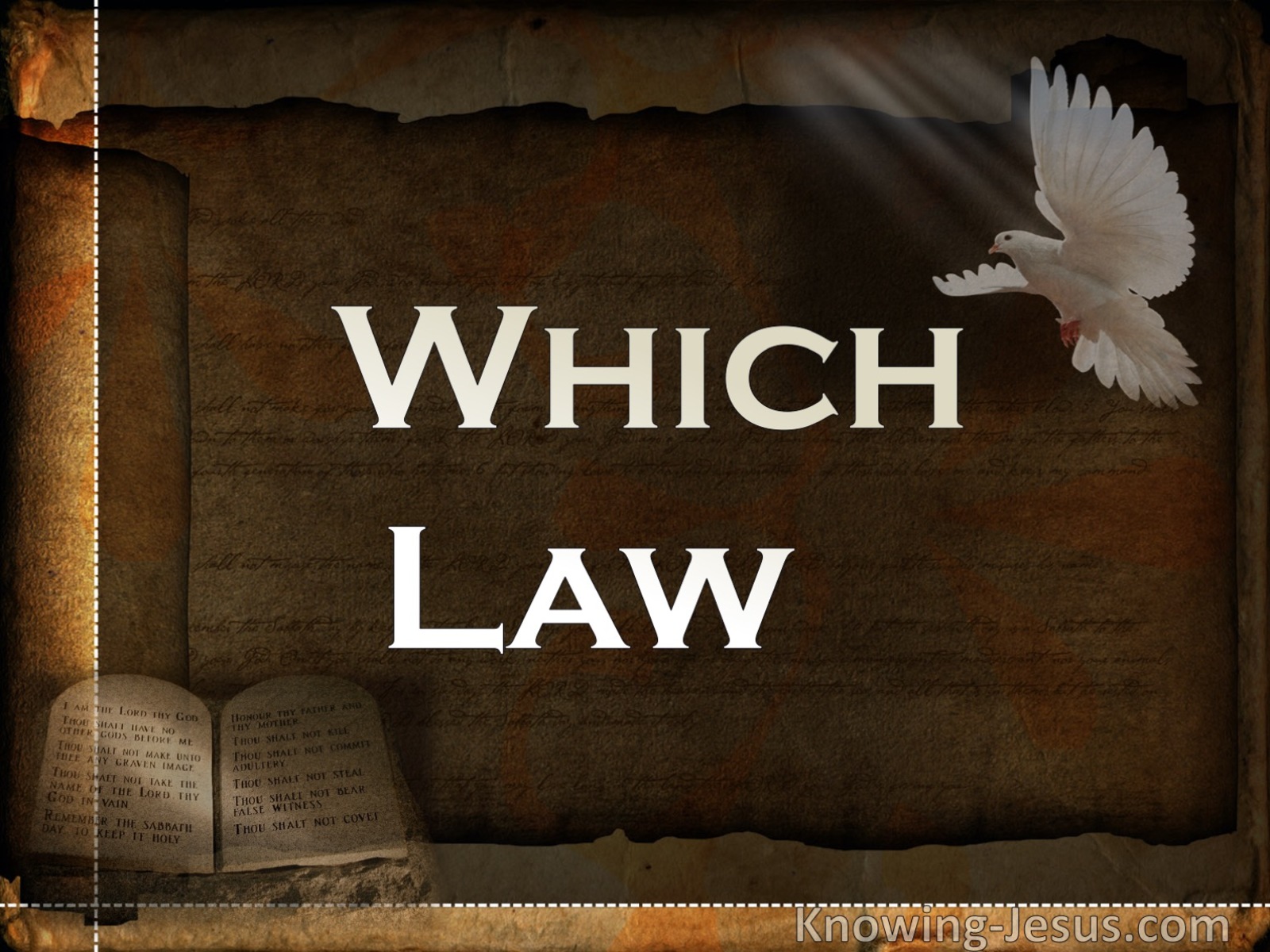 Which Law (devotional)05-04 (white)
